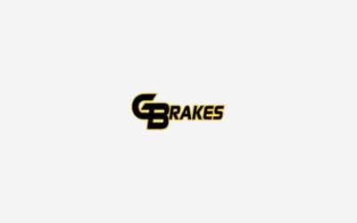 Yes, flushing your motorcycle brake fluid is important